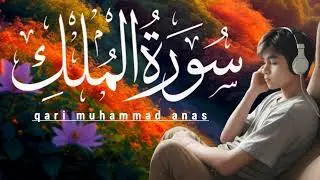 Surah AL MULK سورة الملك(Heart Touching Voice) | Ramadan Special Qari Muhammad Anas