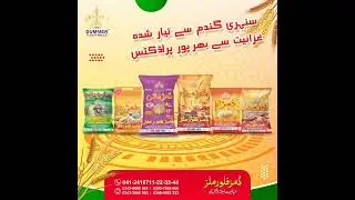 Dummar Flour Mills  | Mann Media House | Advertising Agency | Social Media Marketing | TVC Ads |