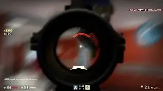 Popdog