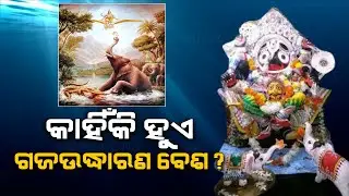 Puri: Know Why Gaja Uddharana Besha Of Holy Trinity Is Done