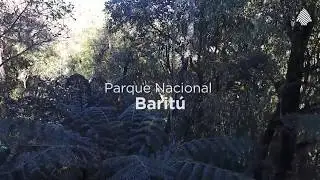 Parque Nacional #Barit&uacute;