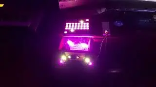 (FLASHING LIGHTS) Porter Robinson - Perfect Pinterest Garden | Lightshow