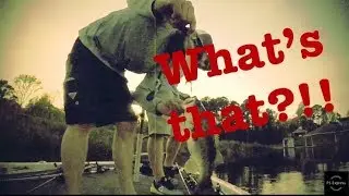 Fishing safari waters Athens tx (bass fishing)