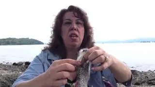 River SIde Chat