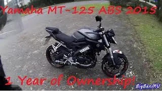#85 1 Year of Ownership of the Yamaha MT-125 ABS 2015!