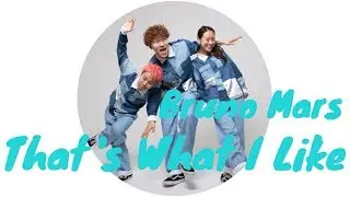 Bruno Mars - That's What I Like / Alaventa