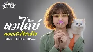 ดมได้บ่ดอกกระเจียวอ้าย - ลูกทุ่ง3ช่า | #พ่อน้องมันเดย์