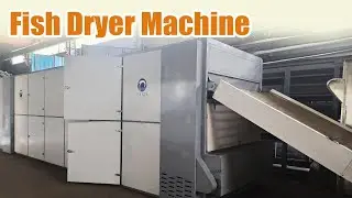 High efficiency fish dryer machine for commercial use #fish #dryer #foodprocessing