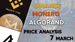 Binance Coin, Monero, Algorand Price Analysis  07 March