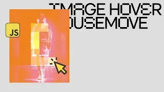 Coolest Image Hover Effect In Less Than 5 Minutes