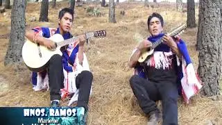 EDGAR RAMOS TEMA MARLENE VOL 3