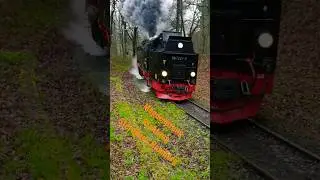 M&auml;gdesprung Richtung Sternhaus Ramberg Selketalbahn HSB Harzer schmalspurbahn