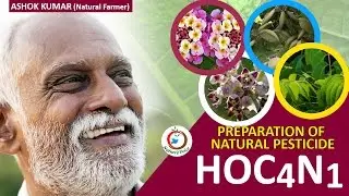 Zero Budget Natural Farming | How to prepare the Natural Pesticide HOC-4n1