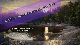 рр4 приманка на щуку Куори  русская рыбалка 4 RF4 bait for pike lake kuori Russian fishing 4