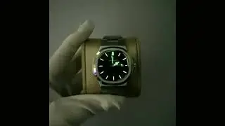 Poedagar Classic Nautilus