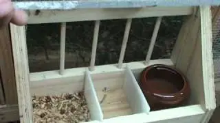 ed pigeon loft