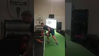 Dumbbell bent over row