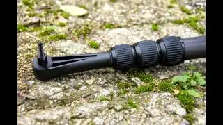 New carbon stem for Golden Mask 5
