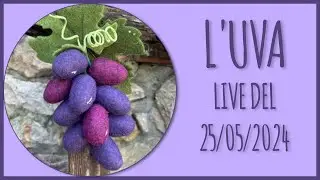 Tutorial L'Uva - LIVE 25/01/2024