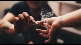 Bajo - Trip