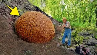 Contadino Trova l'Impossibile Sepolto in Giardino. La Scoperta lo Sconvolge