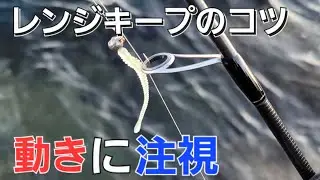 【アジング】レンジキープにはコツがある。釣れた層の○○を狙うも戦略の１つです