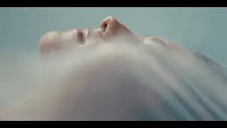 BeautyLife - Renaissance