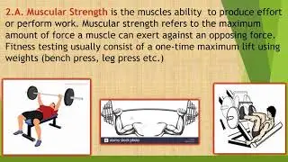 GRADE 8 PHYSICAL EDUCATION: HEALTH-RELATED FITNESS