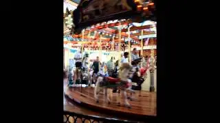 Silver Beach Carousel - St.Jose Michigan