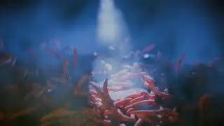 WORMS . test scene with Aaws 3D string solver, IMI Studio nodes for compositor