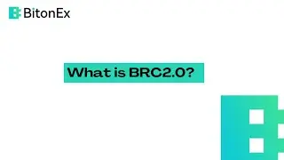 What is BRC2 0？