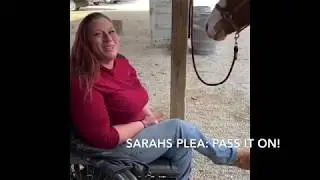 Keep JeffCoMo Parks Open to ADA and Horses