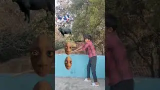 cow,, buffalo,, goat,, lion VFX magic //youtubeshorts#trending#shorts#funnyshortsfeed#comedy(part11)