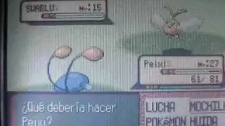 Shiny swablu! The second shiny in there is the wanted! (Sapphire)