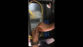 Dressing mini ODF fiber optic