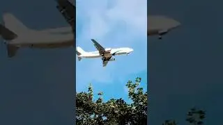 Boeing 737-4Q8 Tailwind Airlines arriving to PZY airport