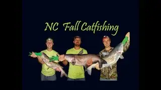 Catfishing North Carolina Fall 2018