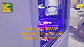 Automatic SERVO CNC Screen Printing Machine for bottles