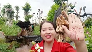Có 5 dấu hiệu trên bàn tay may mắn hơn trúng số độc đắc từ năm 2024. Bàn tay phải của mẹ