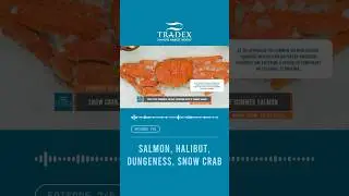 3MMI - DUNGENESS, SNOW CRAB, HALIBUT SUPPLY TIGHTENS, SUMMER SALMON SEASON BEGINS #seafood