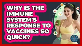 Why Is The Immune System's Response To Vaccines So Quick? - All About the Immune System
