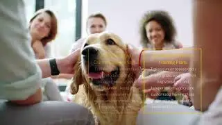 The Art of Selling and Teaching Dog Training Lessons