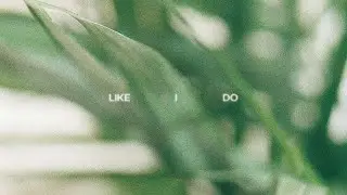 Paradog - Like I Do (Audio)