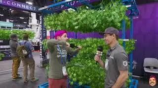 How DriFlower is Revolutionizing Post-Harvest Techniques