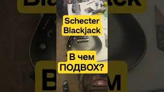 Schecter Blackjack- в чем подвох?