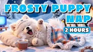 2 HOURS Arctic Sleep for Dogs ❄️ Cozy Igloo & Northern Lights Lullaby