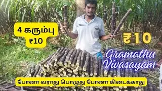 இப்படி எல்லாம் கரும்பு விற்பனை பண்ணலாமா ?sugarcane sales process #farmerslife #vivasayi #agriculture