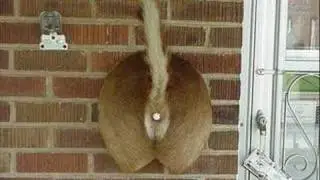 Funny Pictures Gone Wrong