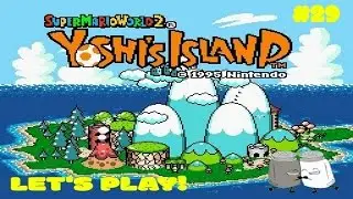 LET'S PLAY Yoshi's Island PART 29 - We're Obviously White
