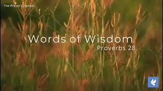 Praying with Proverbs 28 | Bold As A Lion | The Prayer Channel |